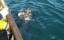 Gallery Under Water Job (inspection, search, cleaning and repairs) 14 img_20180724_wa0002