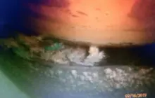 Gallery Under Water Job (inspection, search, cleaning and repairs) 22 img_20190217_wa0066