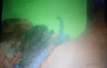 Gallery Under Water Job (inspection, search, cleaning and repairs) 24 img_20190217_wa0070