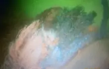 Gallery Under Water Job (inspection, search, cleaning and repairs) 23 img_20190217_wa0071