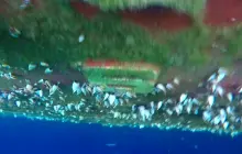 Gallery Under Water Job (inspection, search, cleaning and repairs) 2 port_mid_view