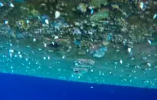 Gallery Under Water Job (inspection, search, cleaning and repairs) 3 port_midship