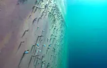 Gallery Under Water Job (inspection, search, cleaning and repairs) 7 portview_hull