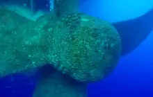 Gallery Under Water Job (inspection, search, cleaning and repairs) 9 propeller_aft_view