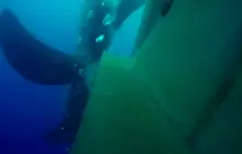 Gallery Under Water Job (inspection, search, cleaning and repairs) 11 propeller_view_stbd